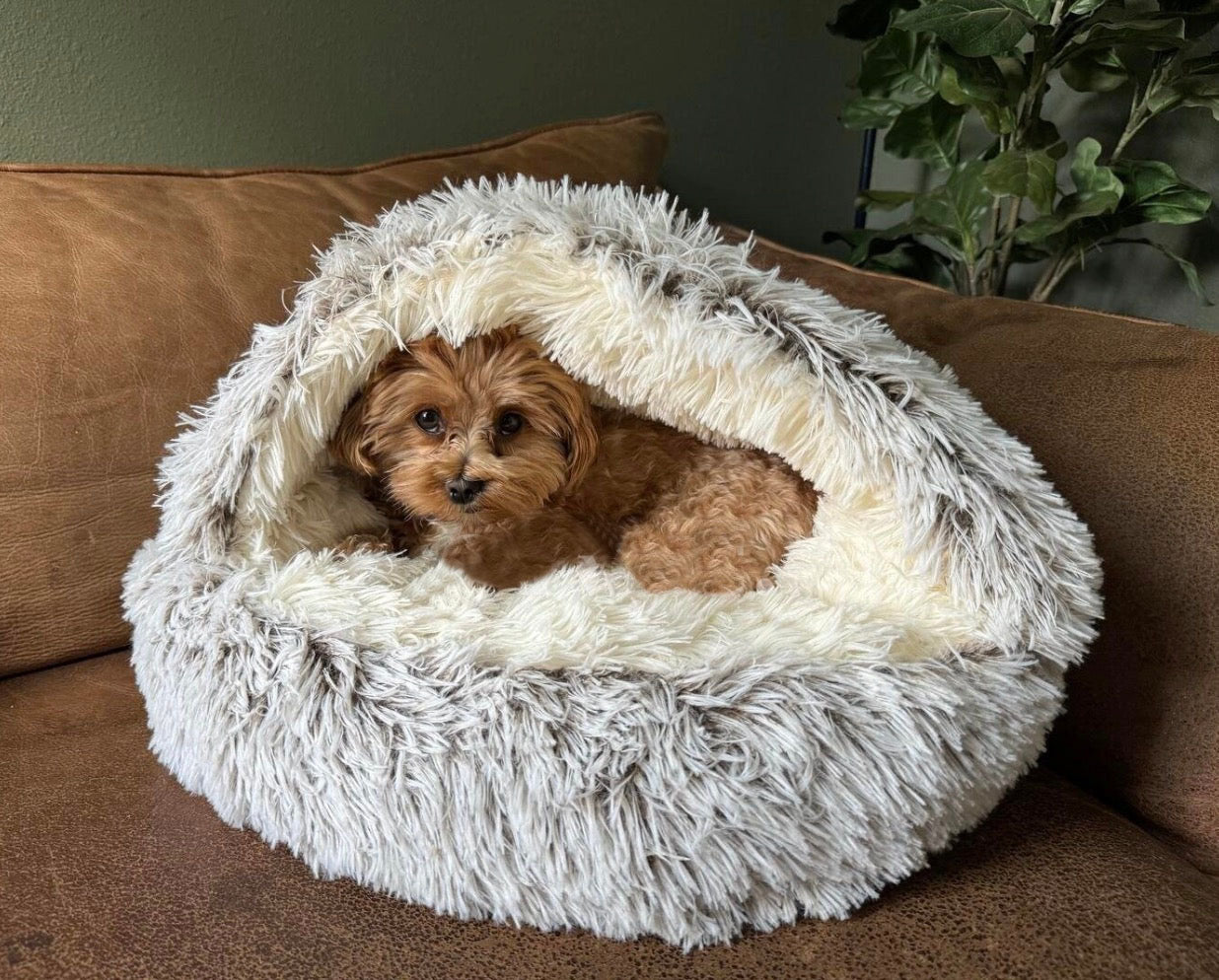 GALEO™ - Nid cocon apaisant pour animaux